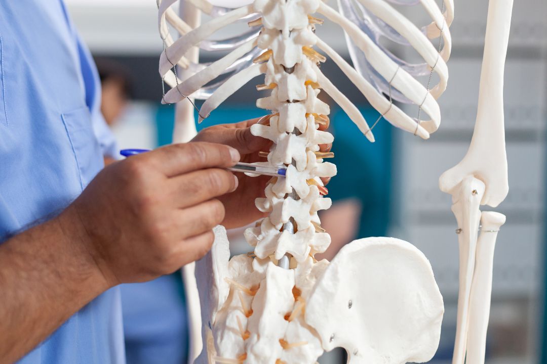 The Link Between Spinal Health and Mental Wellness